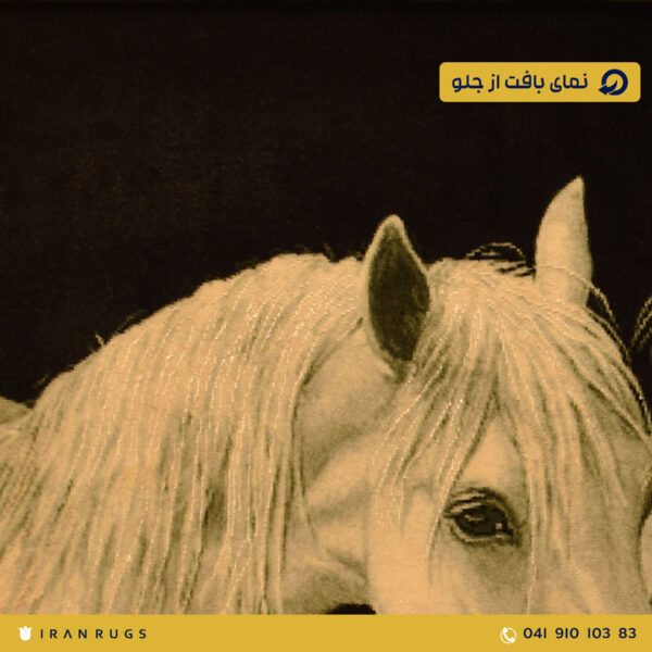 سعر شراء لوحة السجاد اليدوية من تصميم تانديس اثنين من الحصان من معرض السجاد الإيراني