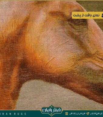 خرید قیمت خرید تابلو فرش دستباف طرح کله اسب